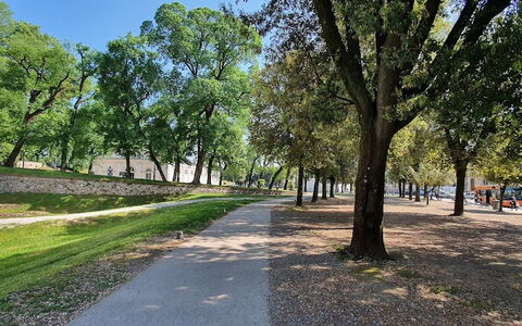 Residenza Otello: Fabriek, Lucht, Boom, Weg Oppervlak, Schaduw, Natuurlijk Landschap, Doorgang, Gras, Landschap, Asfalt