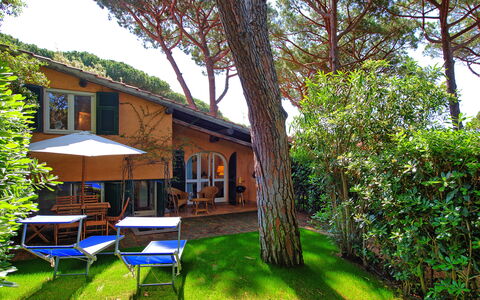 Le Dune: Fabriek, Lucht, Gebouw, Natuur, Boom, Natuurlijk Landschap, Buitenmeubels, Gras, Schaduw, Tafel