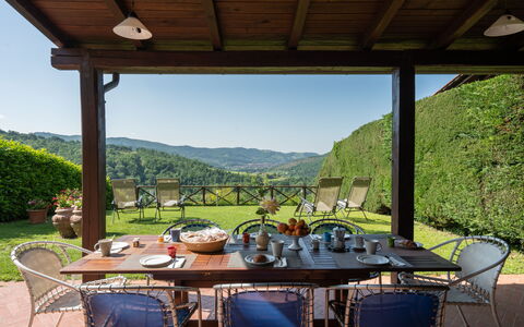 Villa Olivi - Subbiano, Toscana, Pool And Nature: Tafel, Fabriek, Eigendom, Meubilair, Stoel, Lucht, Natuur, Schaduw, Veranda, Bloempot