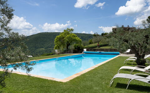 Villa Olivi - Subbiano, Toscana, Pool And Nature: Water, Wolk, Fabriek, Lucht, Eigendom, Zwembad, Boom, Natuurlijk Landschap, Zwemwater, Schaduw