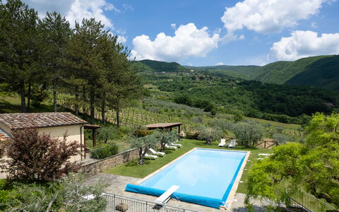 Villa Olivi - Subbiano, Toscana, Pool And Nature: Fabriek, Water, Wolk, Lucht, Eigendom, Zwembad, Azure, Boom, Natuurlijk Landschap, Berg