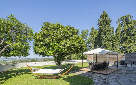 Massarosa Front Lake, The Gargoyles: Boom, Tuin, Land Lot, Meubilair, Schaduw, Buitenmeubels, Gazon, Landscaping, Stoel, Werf