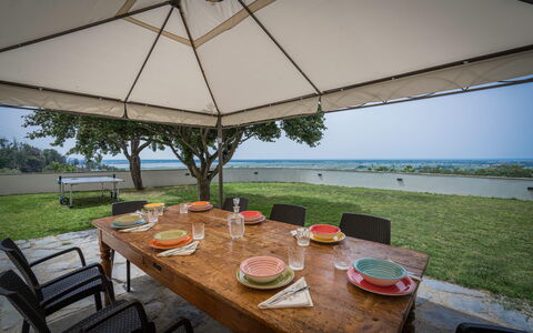 Massarosa Front Lake, The Gargoyles: Tafel, Meubilair, Eigendom, Fabriek, Water, Tableware, Stoel, Schaduw, Paraplu, Buitenmeubels