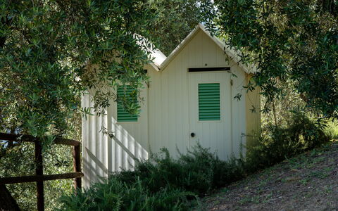 Luxury Green Marignana Villa, Versilia, Pool, Ac,: Fabriek, Natuurlijke Omgeving, Hout, Gebouw, Boom, Deur, Gras, Woody Plant, Natuurlijk Landschap, Landelijk Gebied