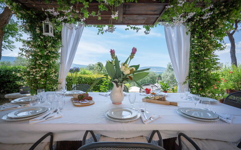 Villa Recanati, Val D'orcia, Private Pool, Jacuzzi: Tafel, Tableware, Fabriek, Meubilair, Stoel, Dishware, Tafelkleed, Lucht, Interieur Ontwerp, Decoratie