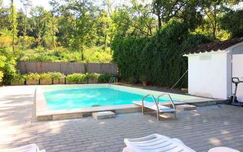 Pupa House: Fabriek, Eigendom, Zwembad, Water, Schaduw, Boom, Buitenmeubels, Gebouw, Flooring, Verdieping