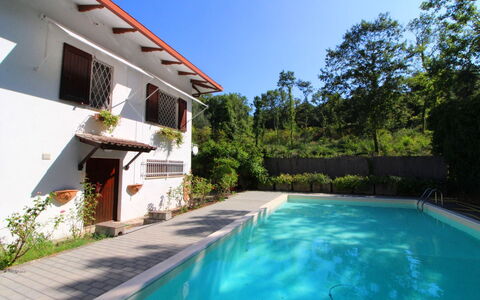 Pupa House: Water, Fabriek, Lucht, Gebouw, Zwembad, Azure, Boom, Vrije Tijd, Schaduw, Woongebied