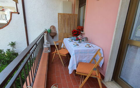 La Butterfly: Fabriek, Tafel, Eigendom, Meubilair, Gebouw, Kamerplant, Hout, Interieur Ontwerp, Bloempot, Bloem