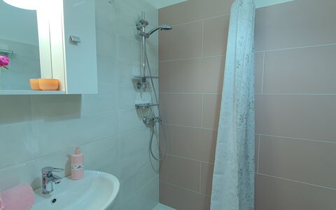 La Butterfly: Loodgieterswerkinrichting, Eigendom, Wastafel, Kraan, Badkamer, Douchekop, Douche, Wastafel In De Badkamer, Verdieping, Spiegel