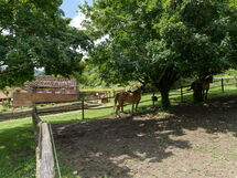 Locanda Di Alberi Without Kitchen