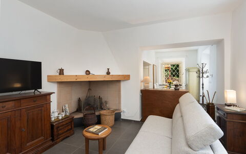 Casa Serra: Meubilair, Eigendom, Comfort, Fabriek, Hout, Kamerplant, Verlichting, Interieur Ontwerp, Woonkamer, Cabinetry