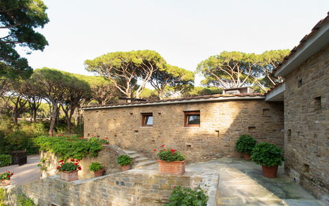 Villa La Pineta: Fabriek, Lucht, Eigendom, Gebouw, Venster, Boom, Verblijf, Huis, Bloempot, Buurt