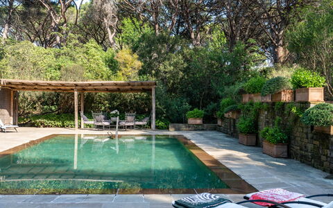 Villa La Pineta: Fabriek, Water, Zwembad, Boom, Gras, Vrije Tijd, Woongebied, Schaduw, Onroerend Goed, Landschap