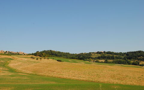 Alice - Podere Ribatti - Casole D'elsa, Toscana: Lucht, Fabriek, Natuurlijk Landschap, Helling, Boom, Landbouw, Plain, Bergachtig Landvormen, Gras, Grasland