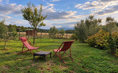 Alice - Podere Ribatti - Casole D'elsa, Toscana: Gras, Blad, Natuurlijk Landschap, Landschap, Zomer, Land Lot, Plain, Meubilair, Landelijk Gebied, Tuin