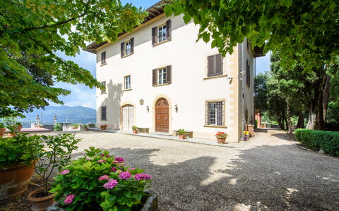 Villa Badiuzza: Fabriek, Bloem, Gebouw, Eigendom, Venster, Lucht, Boom, Bloempot, Huis, Deur