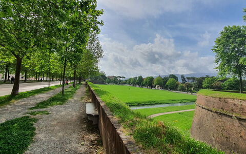 Casa Toto: Groen, Gras, Plain, Groundcover, Tuin, Gazon, Landscaping, Gang, Park, Plantage