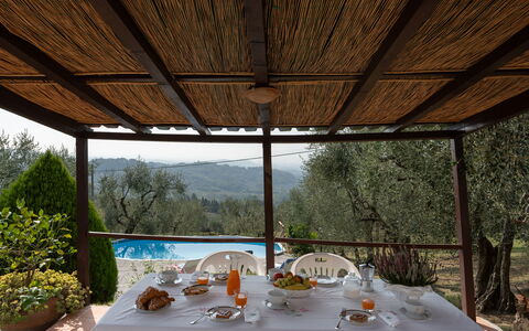 Casa Mimy: Tafel, Meubilair, Tableware, Fabriek, Boom, Schaduw, Interieur Ontwerp, Stoel, Wijnglas, Buitenmeubels