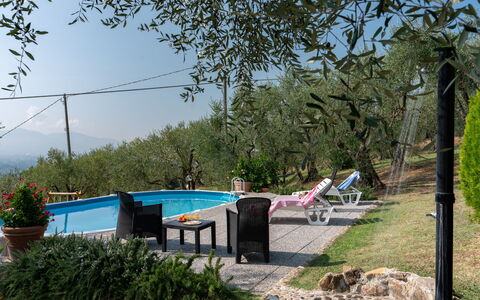 Casa Mimy: Fabriek, Lucht, Water, Zwembad, Schaduw, Boom, Buitenmeubels, Gras, Vrije Tijd, Landschap