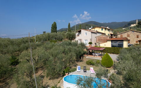 Casa Mimy: Lucht, Fabriek, Wolk, Gebouw, Boom, Venster, Vegetation, Landschap, Huis, Woongebied