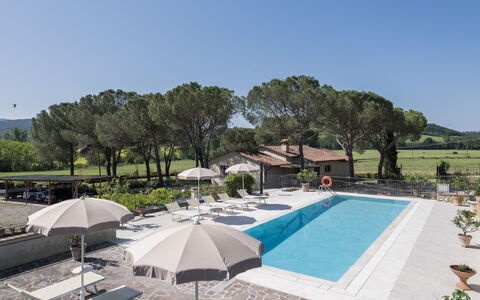 Anilde, Holiday Home with Pool, Wifi, Tuscany: Lucht, Fabriek, Boom, Gebouw, Water, Schaduw, Zwembad, Vrije Tijd, Stedelijk Ontwerp, Buitenmeubels