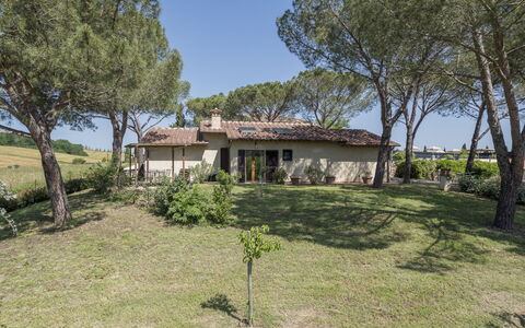 Anilde, Holiday Home with Pool, Wifi, Tuscany: Fabriek, Lucht, Gebouw, Boom, Venster, Natuurlijk Landschap, Huis, Land Lot, Gras, Verblijf