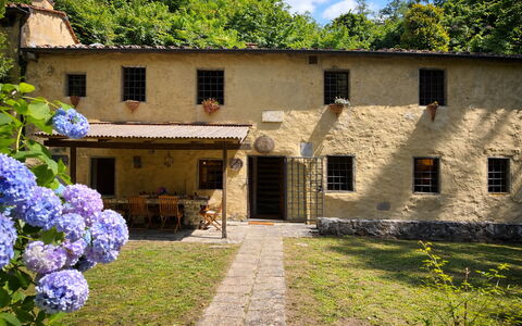 Molin Barletta, Private Pool, Nature - Marliana, T: Huis, Struik, Verblijf, Landgoed, Landelijk Gebied, Backyard, Tuin, Werf, Hacienda, Gazon