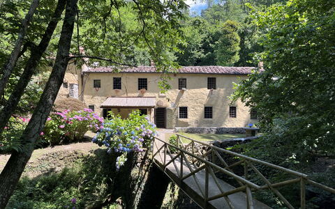 Molin Barletta, Private Pool, Nature - Marliana, T: Fabriek, Venster, Gebouw, Boom, Natuurlijk Landschap, Huis, Onroerend Goed, Bloem, Verblijf, Hout