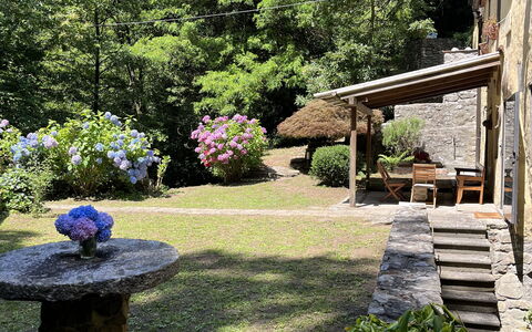 Molin Barletta, Private Pool, Nature - Marliana, T: Fabriek, Plantkunde, Blad, Natuurlijk Landschap, Boom, Vegetation, Gras, Lucht, Landschap, Struik