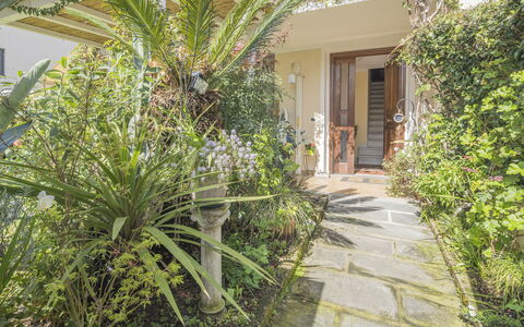 La Bouganville, Forte Dei Marmi, Private Garden, W: Struik, Tuin, Bloempot, Landscaping, Kamerplant, Werf, Flagstone, Backyard, Binnenplaats