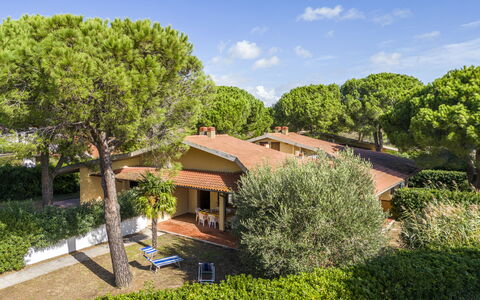 Argentario Giannella Apartment- Orbetello, Toscana: Fabriek, Wolk, Lucht, Plantengemeenschap, Gebouw, Venster, Boom, Natuurlijk Landschap, Vegetation, Land Lot