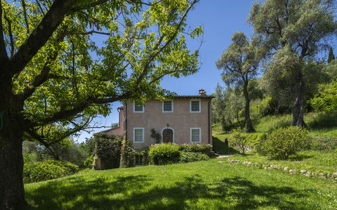 La Casa Dei Limoni, Camaiore, Pet Friendly, Wifi: Boom, Gras, Blad, Natuur, Vegetation, Struik, Huis, Landelijk Gebied, Landschap
