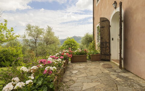 La Casa Dei Limoni, Camaiore, Pet Friendly, Wifi: Struik, Plantengemeenschap, Tuin, Bloempot, Kamerplant, Flagstone