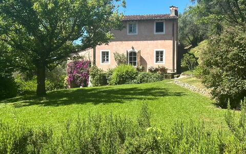La Casa Dei Limoni, Camaiore, Pet Friendly, Wifi: Lucht, Fabriek, Eigendom, Venster, Gebouw, Natuurlijk Landschap, Boom, Land Lot, Gras, Huis