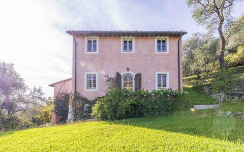 La Casa Dei Limoni, Camaiore, Pet Friendly, Wifi: Vegetation, Struik, Huis, Landelijk Gebied, Plantengemeenschap, Verblijf, Huis, De Lente, Groundcover, Tuin