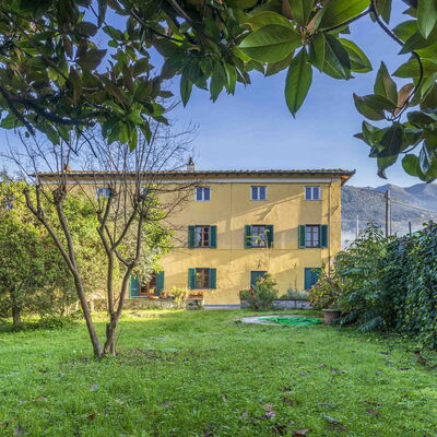 Casale Il Farro - Camaiore, Toscana: Fabriek, Lucht, Eigendom, Venster, Blad, Groen, Natuur, Plantkunde, Land Lot, Vegetation