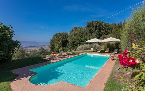 Villa Belvedere: Water, Fabriek, Eigendom, Lucht, Zwembad, Azure, Bloem, Paraplu, Boom, Stoel