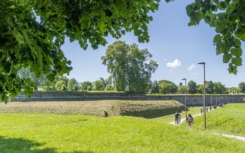 Lucca Old Town Apartment - Lucca, Toscana: Groen, Gras, Grasland, Zomer, Plain, Landschap, Land Lot, Landelijk Gebied, Veld