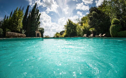 Palazzo Trasimeno: Wolk, Water, Lucht, Fabriek, Natuurlijk Landschap, Boom, Zwembad, Kust En Oceanic Landvormen, Arecales, Meer