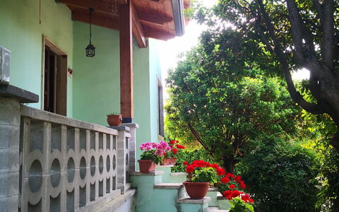 Franco House With Pool: Bloem, Fabriek, Gebouw, Bloempot, Huis, Boom, Hout, Venster, Weg Oppervlak, Schaduw