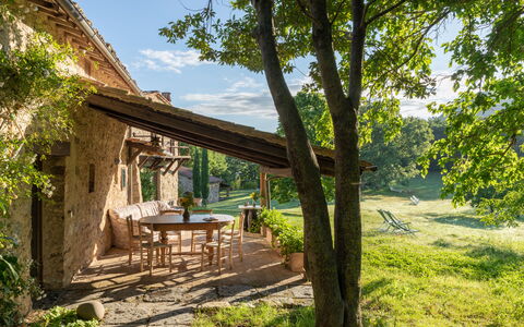 Villa Amiata: Fabriek, Lucht, Tafel, Natuurlijk Landschap, Boom, Hout, Wolk, Schaduw, Land Lot, Verblijf