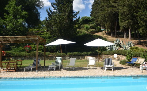 Podere Le Muricce: Water, Fabriek, Wolk, Paraplu, Lucht, Zwembad, Boom, Schaduw, Stoel, Buitenmeubels