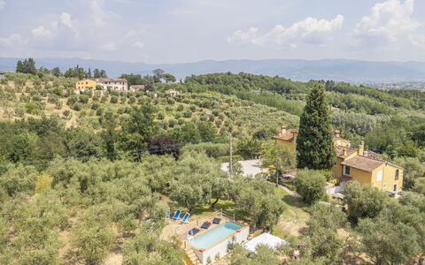 Country House Casalguidi 191 Private Pool: Boom, Landelijk Gebied, Landgoed, Boerderij, Plantage, Villa, Hacienda