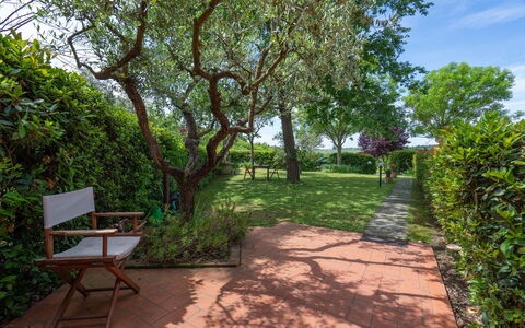 Casa Bellosguardo a Vinci: Fabriek, Plantengemeenschap, Lucht, Schaduw, Natuurlijk Landschap, Land Lot, Boom, Woody Plant, Weg Oppervlak, Vrije Tijd