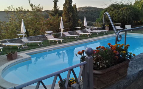 Villa Delle Palme: Water, Fabriek, Zwembad, Blauw, Azure, Boom, Lucht, Buitenmeubels, Bloempot, Bloem