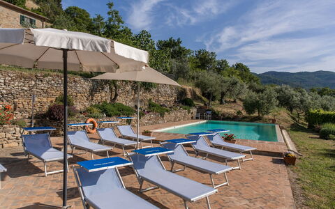 Casale Della Torre: Wolk, Water, Fabriek, Lucht, Eigendom, Meubilair, Plantengemeenschap, Paraplu, Zwembad, Ligstoel