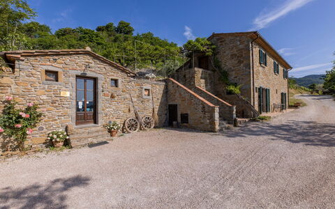 Casale Della Torre: Fabriek, Lucht, Wolk, Gebouw, Venster, Eigendom, Huis, Boom, Land Lot, Architectuur