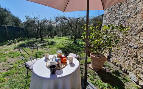 Il Cantuccio: Fabriek, Eigendom, Bloempot, Tafel, Paraplu, Schaduw, Stoel, Buitenmeubels, Tableware, Gebouw