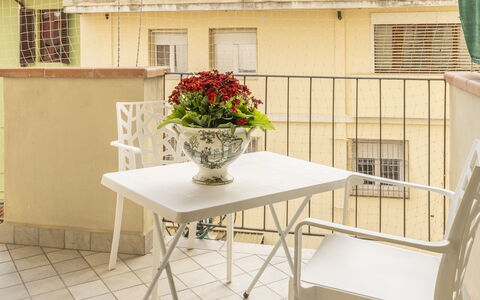 Leandro's House Near Thermal Baths: Bloem, Tafel, Meubilair, Venster, Fabriek, Hout, Gebouw, Bloempot, Interieur Ontwerp, Flooring