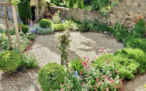 Casa Di Pietro In Vivo D'orcia, Pool: Bloem, Tuin, Struik, Plantengemeenschap, Groundcover, De Lente, Backyard, Landscaping, Werf